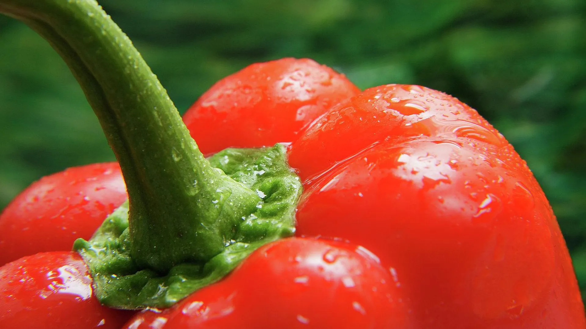 5 способов уменьшить содержание нитратов в овощах
