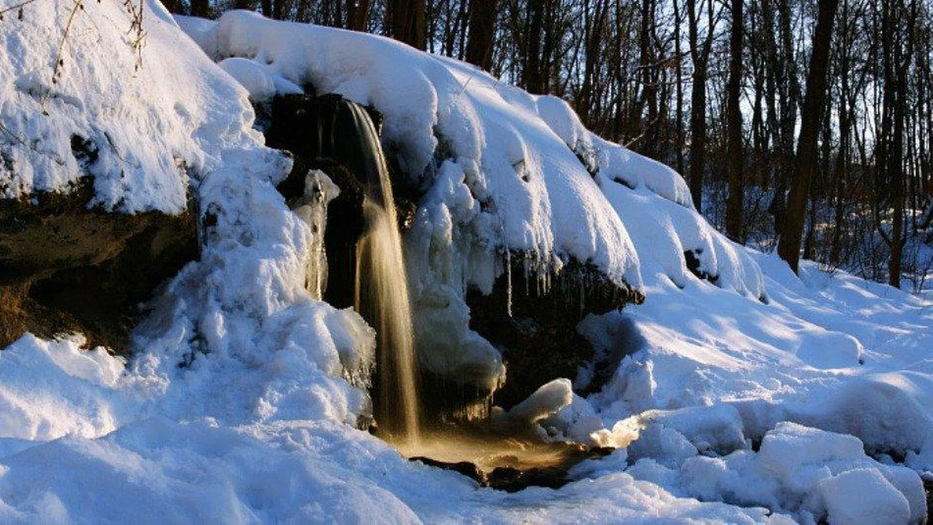 Фотоохота в Подмосковье: где «поймать» красивые зимние виды