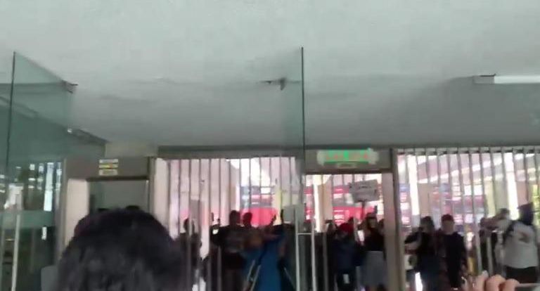 Трансгендеры* разгромили в Мехико здание суда после освобождения подозреваемого