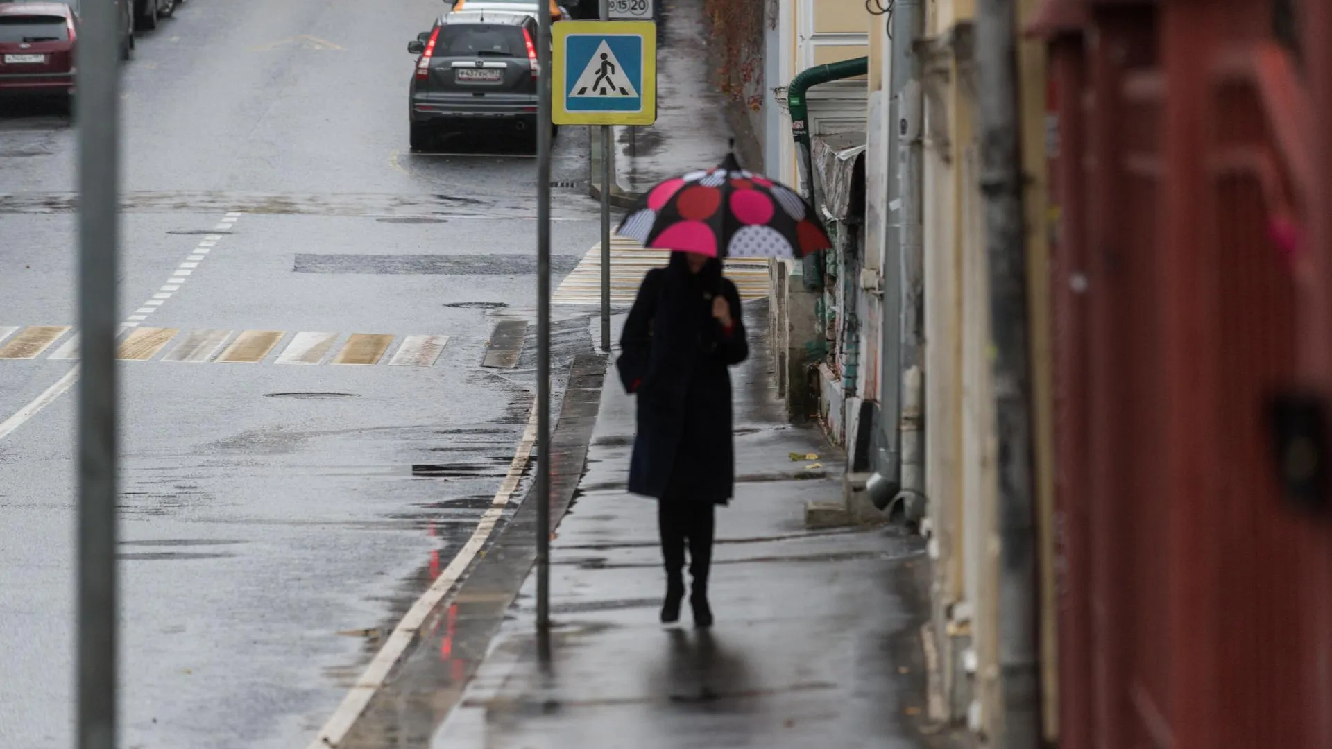 Дождь и до +7 градусов ожидается в Московском регионе в воскресенье