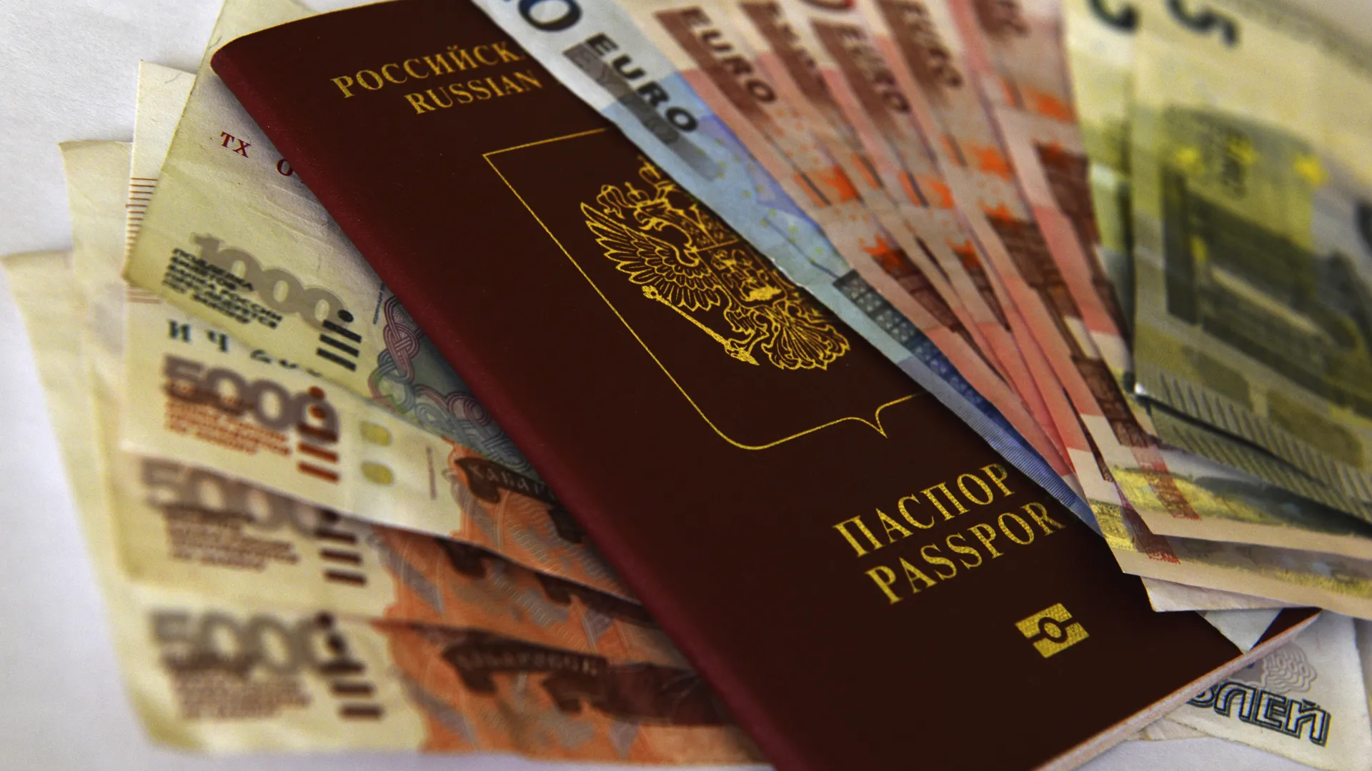 В СПЧ раскрыли, сколько стоит гражданство России на черном рынке