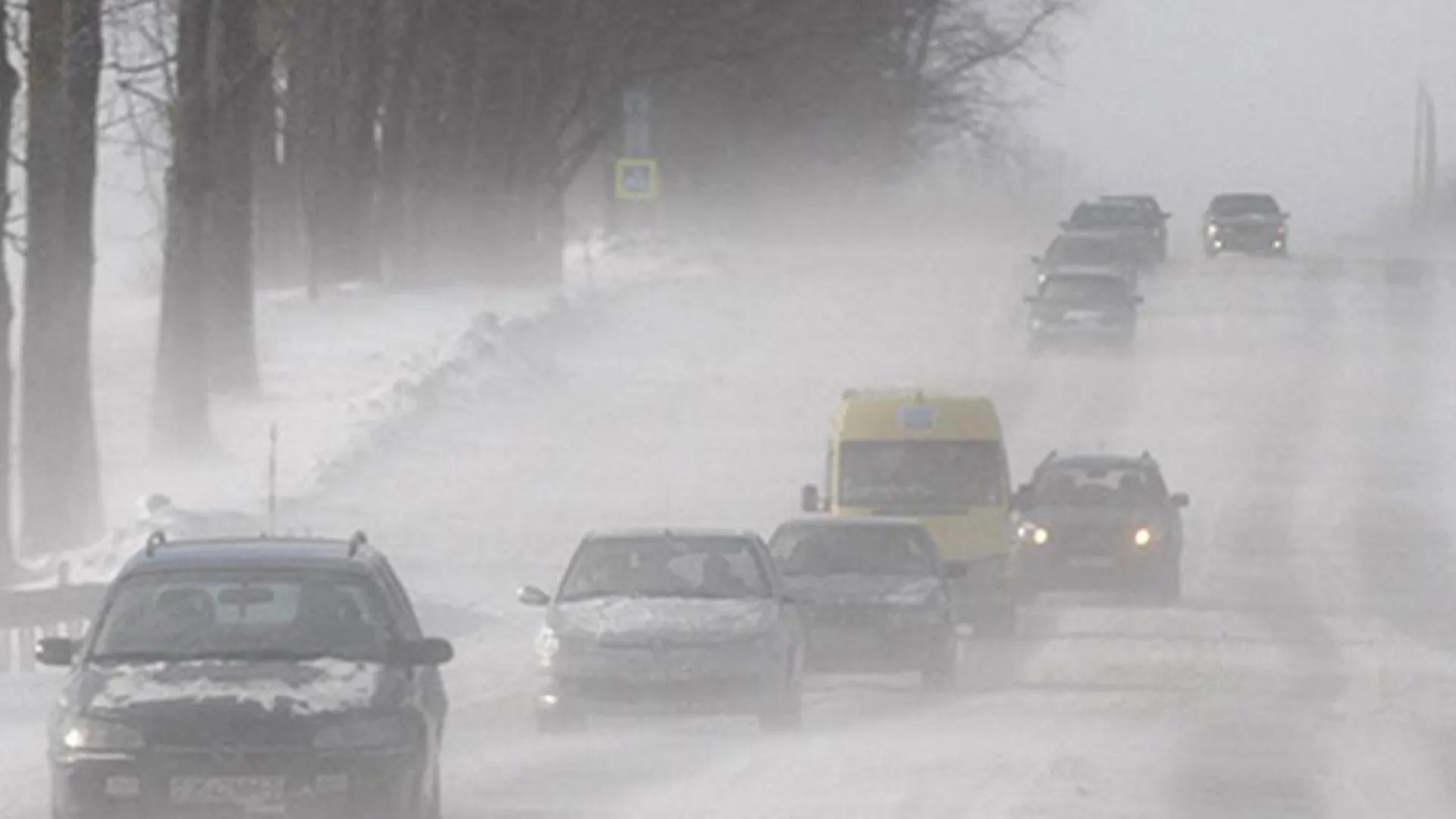 Жителей 15 регионов РФ предупредили о штормовом ветре