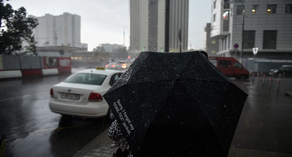 Сильнейшие дожди ожидаются в Москве 18 июня с 12:00 до 18:00