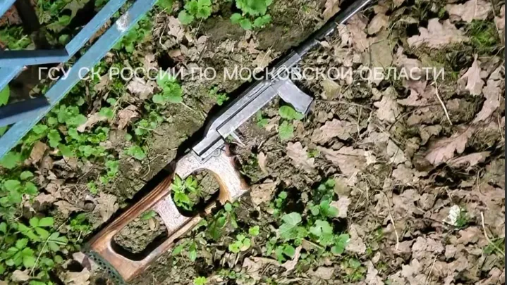 Стали известны подробности убийства женщины на детской площадке в Подмосковье