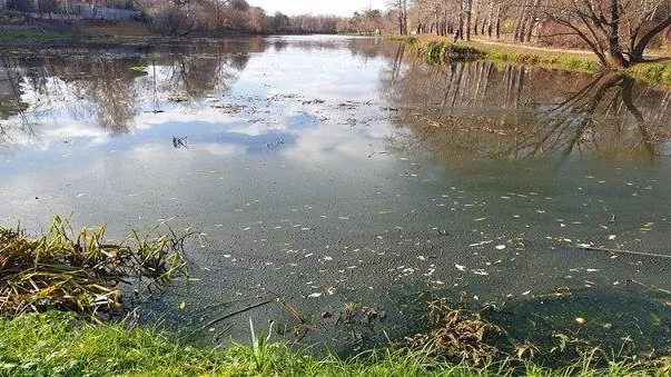 Около 4 тыс куб метров мусора вывезли с берегов реки Вяземки в Подмосковье