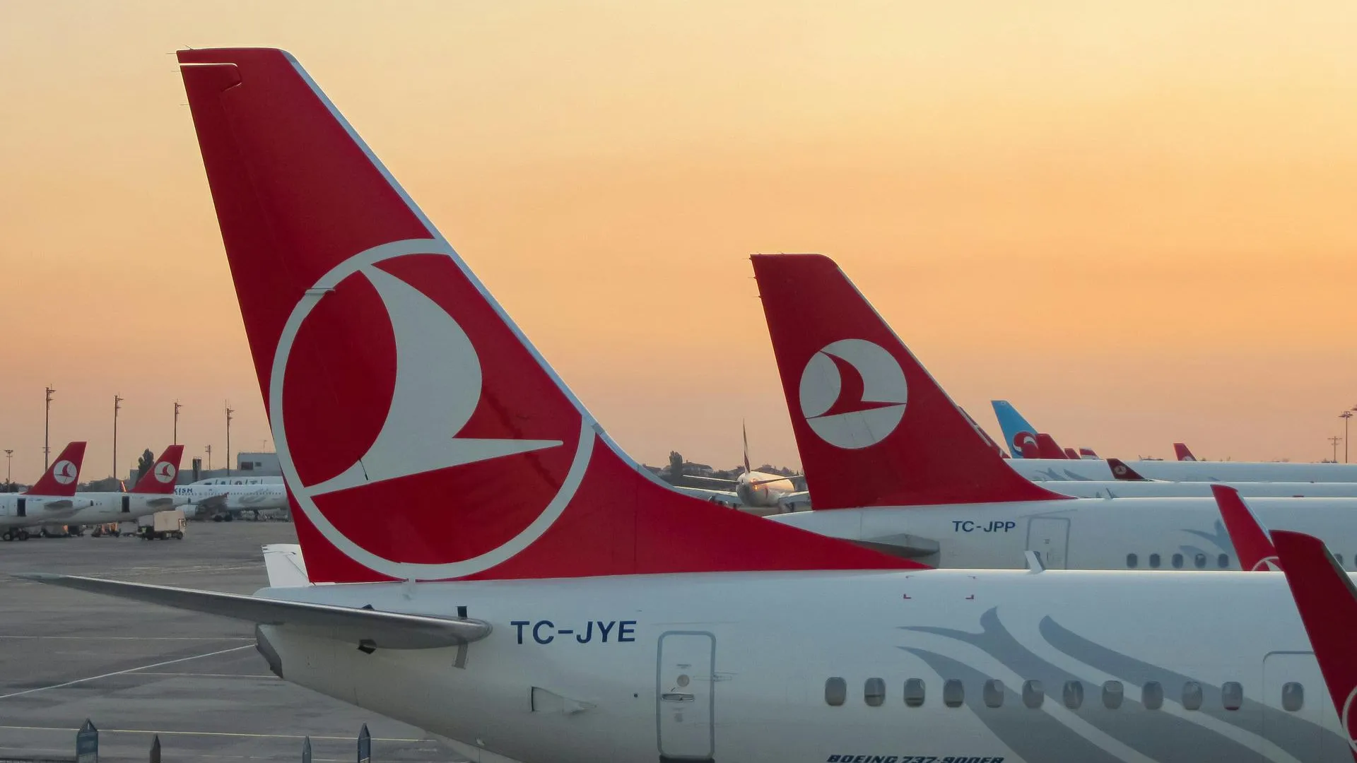 Члены СПЧ ждут ответ турецкой стороны из-за русофобии в авиакомпаниях