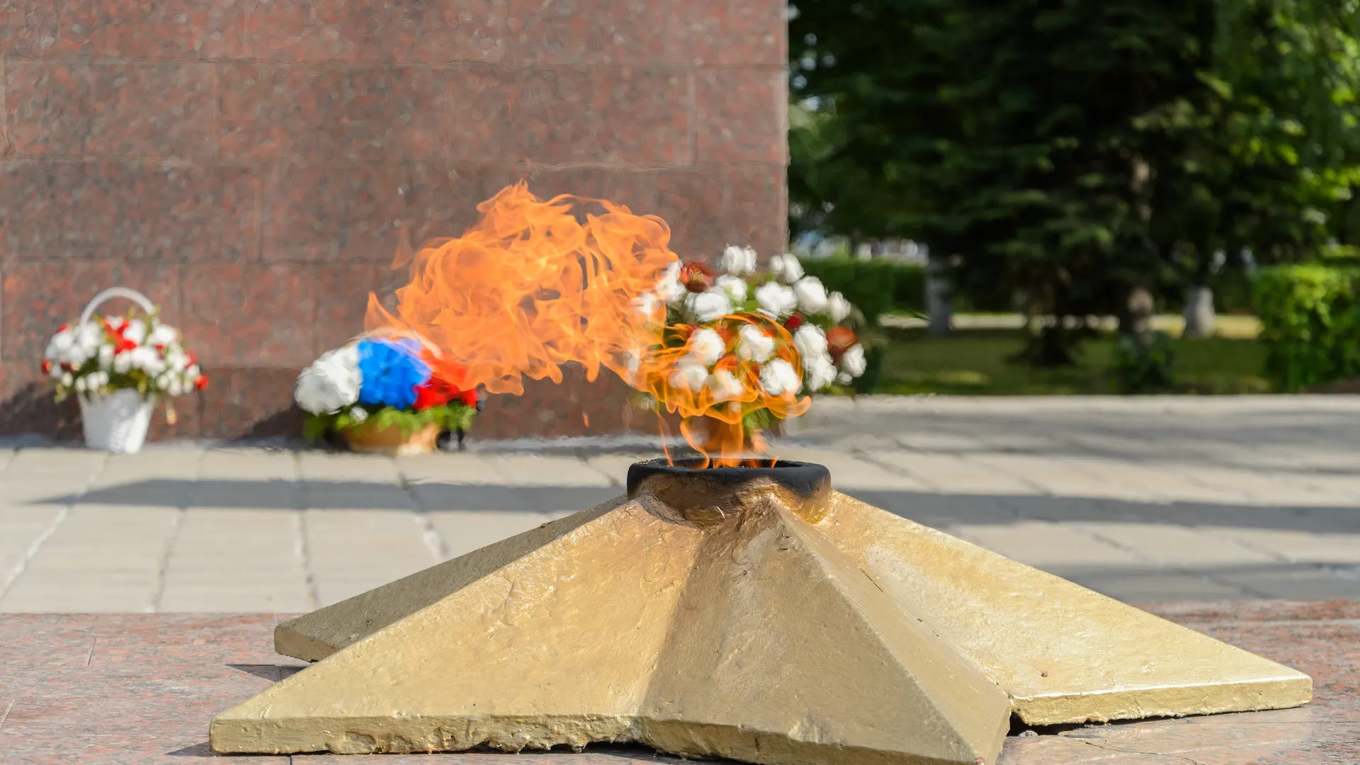 Глава СК РФ потребовал доклад по делу о жарке сосисок на Вечном огне в Рузе