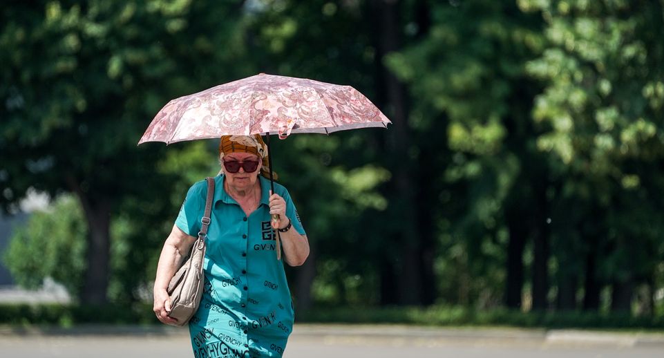 Жителей Подмосковья предупредили о сильной жаре со 2 по 5 июля
