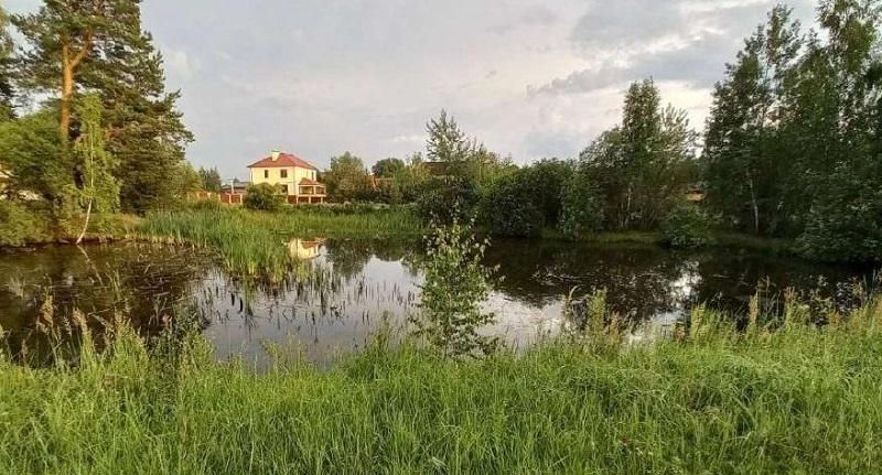 Прокуратура при поддержке Минэкологии хочет вернуть государству земли в Дмитрове