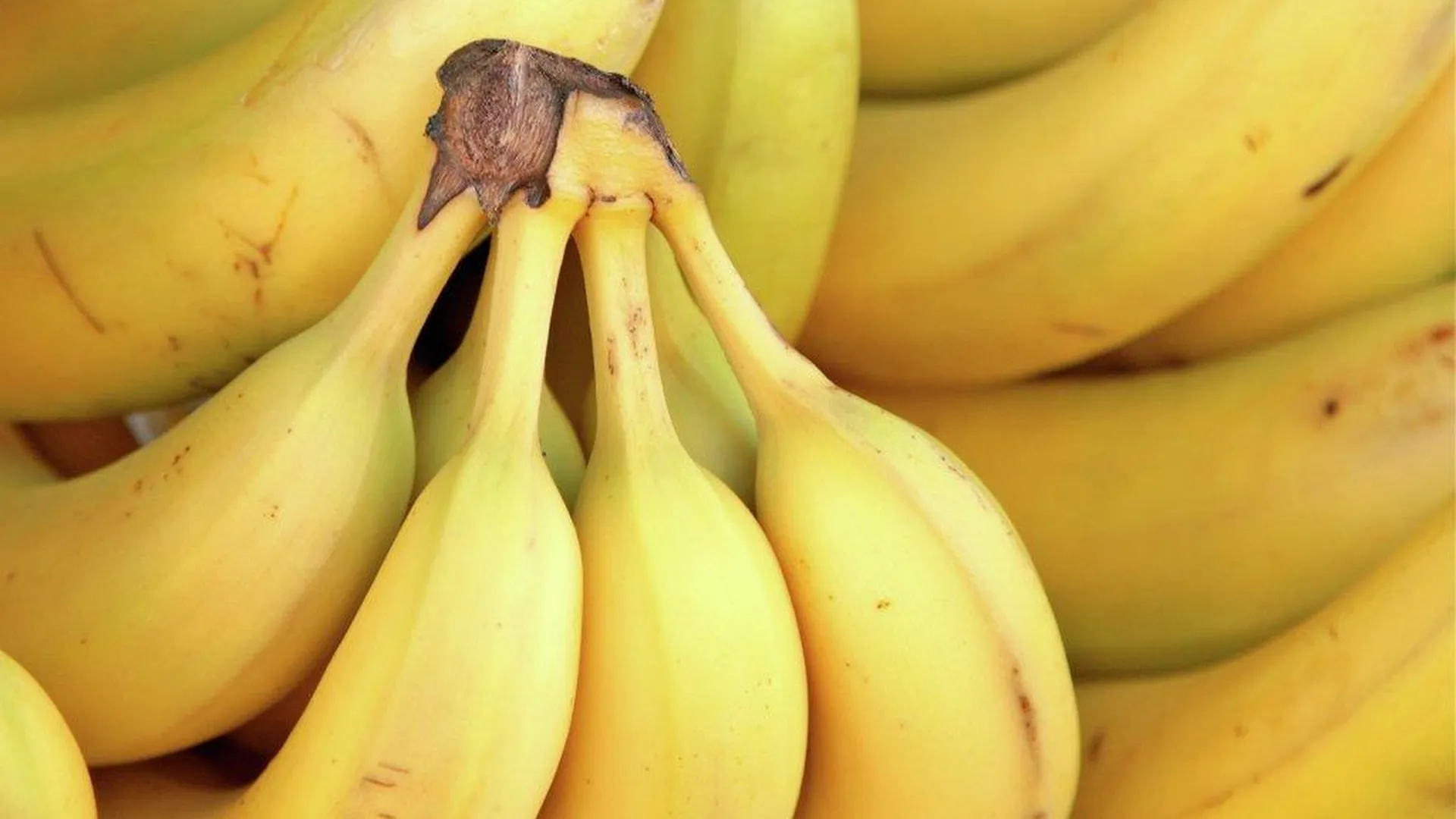 Россельхознадзор вернул право 5 компаниям из Эквадора поставлять бананы в РФ