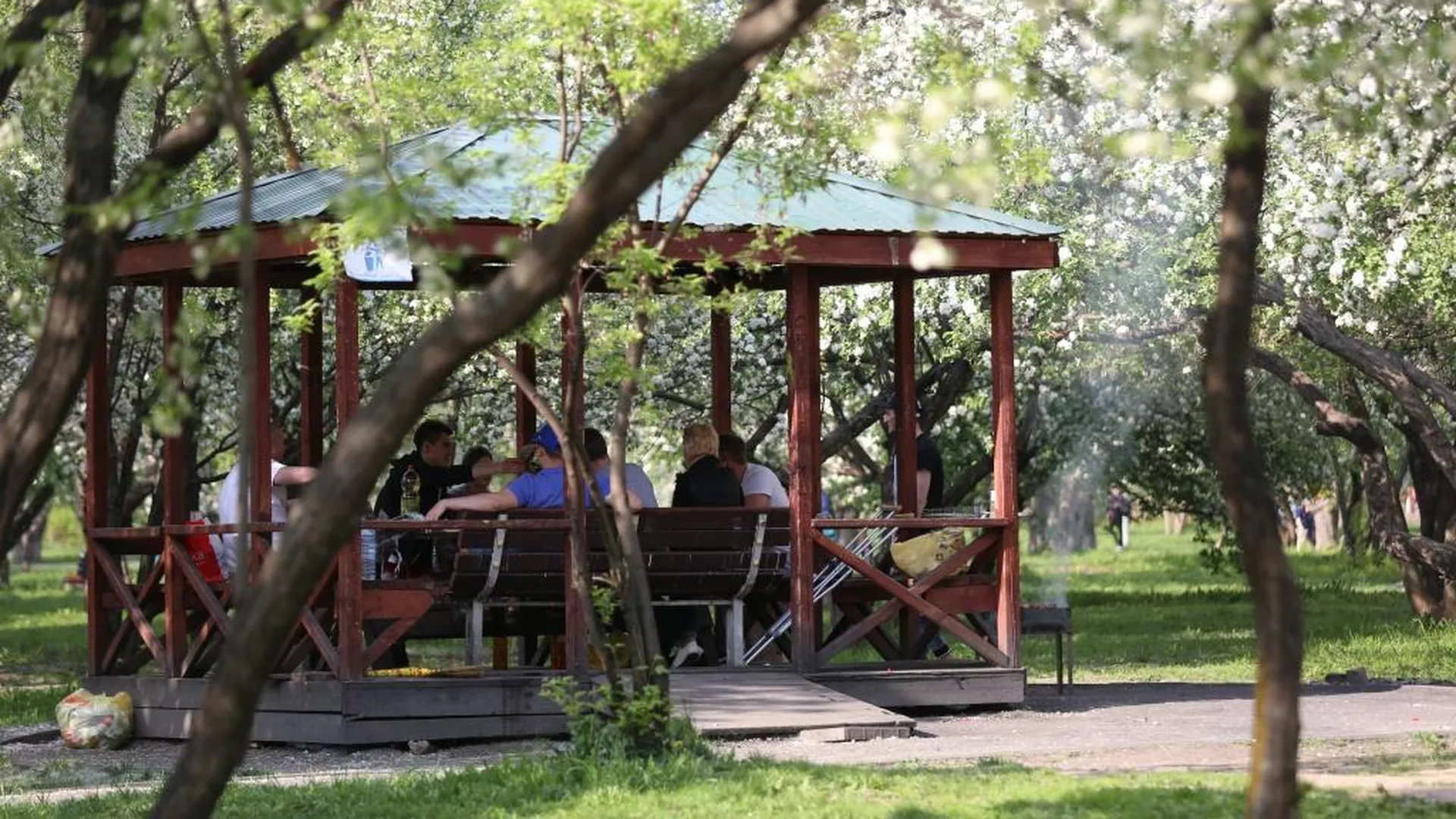 В Москве летом откроют около 300 пикниковых точек на природе