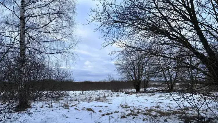 Наибольшее число лотов выставлено на торги в округах Клин, Коломна и Домодедово