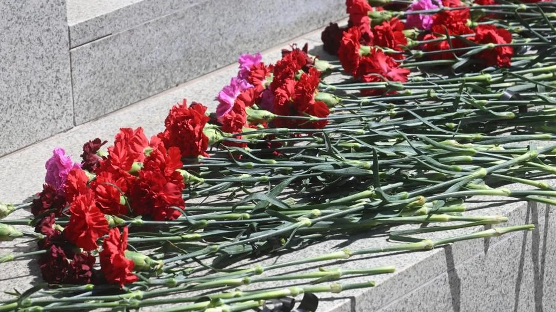 Сотни людей в Берлине возложили цветы к памятнику Воину-освободителю