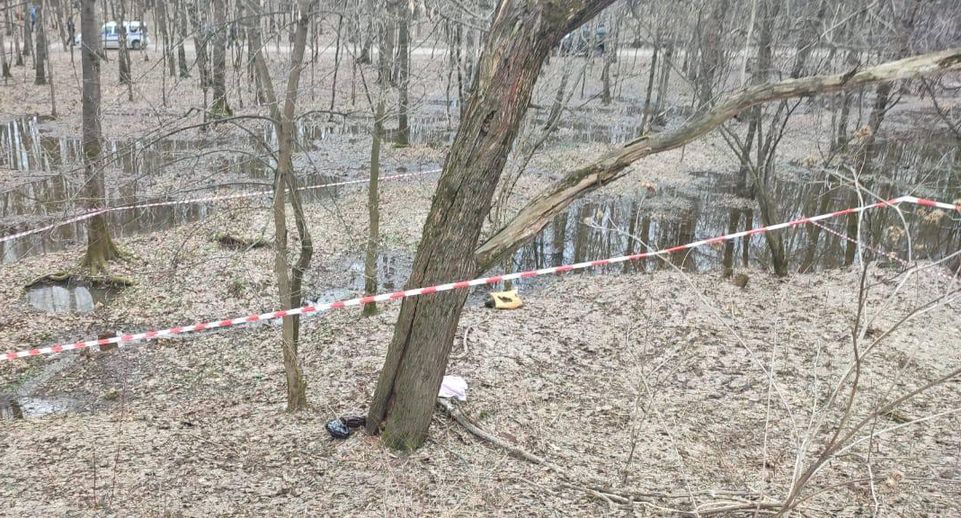 В столичном лесопарке нашли тело новорожденного женского пола