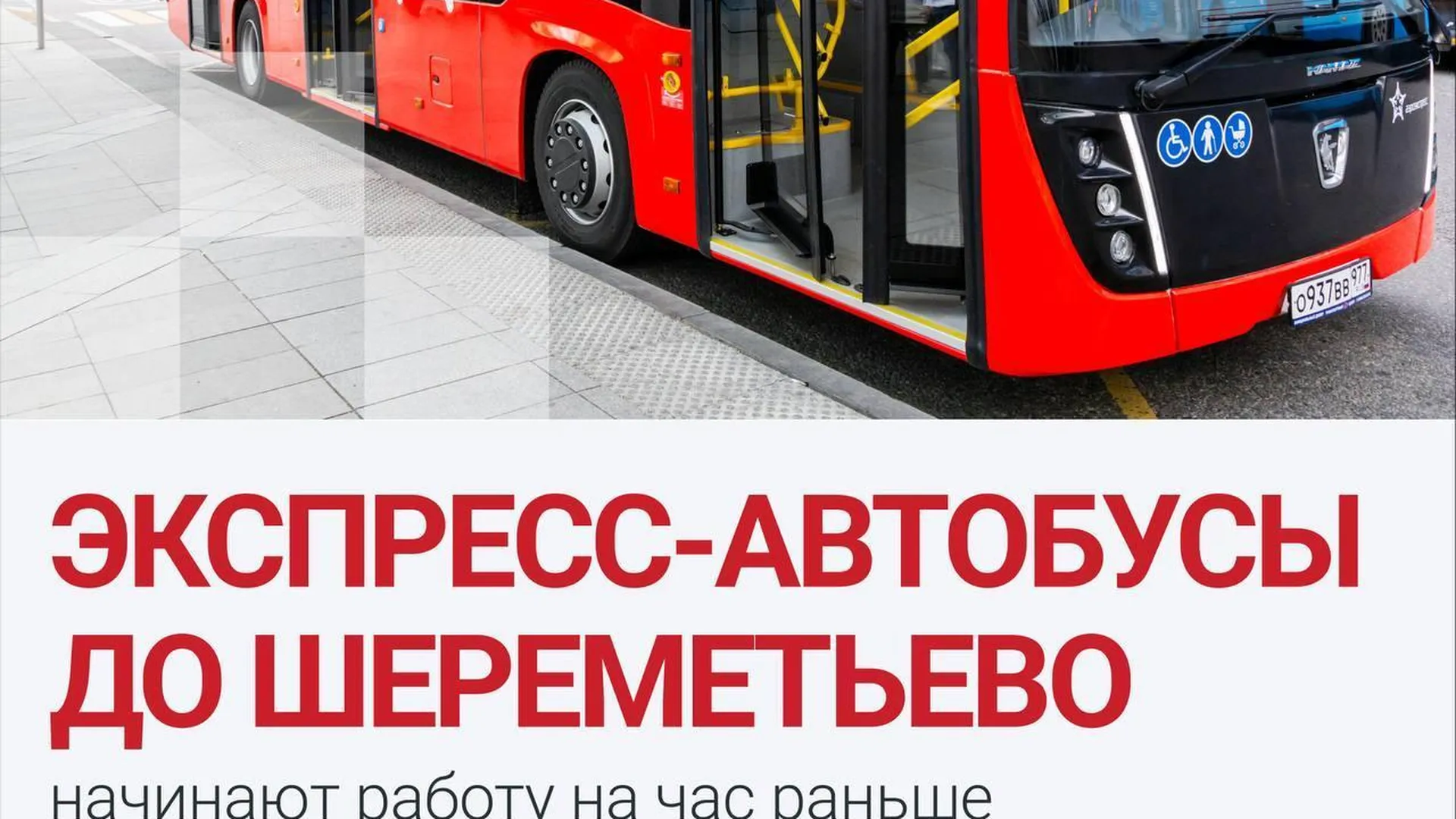 Автобус 1195 Шереметьево Цена