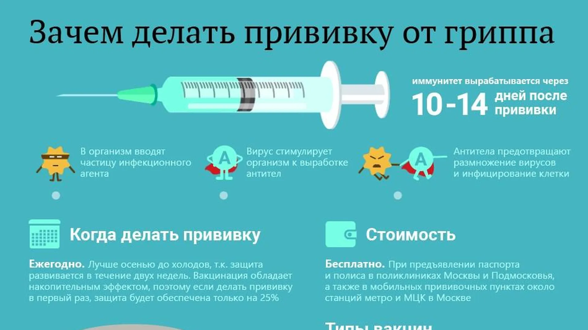 Вакцинация от гриппа. Прививки от гриппа. Инфографика про прививки. Вакцинация от гриппа инфографика.