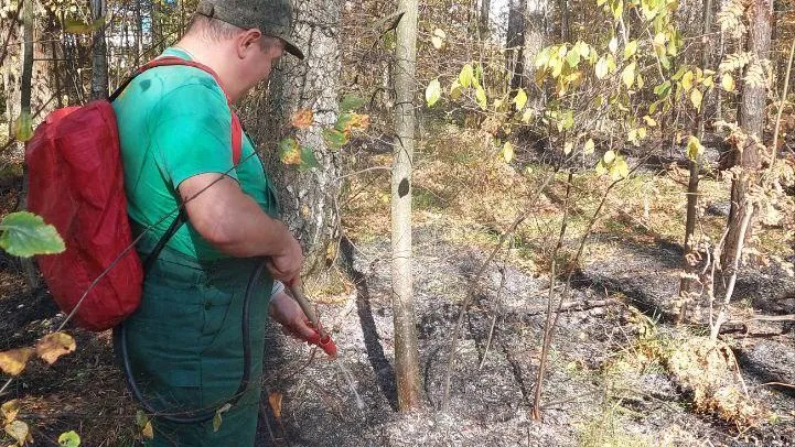 Лесной пожар потушен в Ступине в понедельник