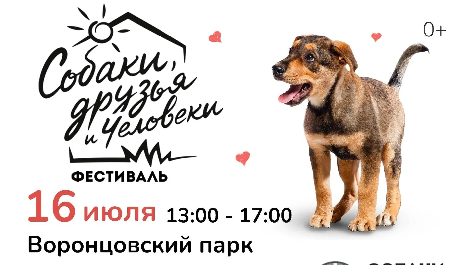 Страница «Фестиваль «Собаки, друзья и человеки» во «ВКонтакте»