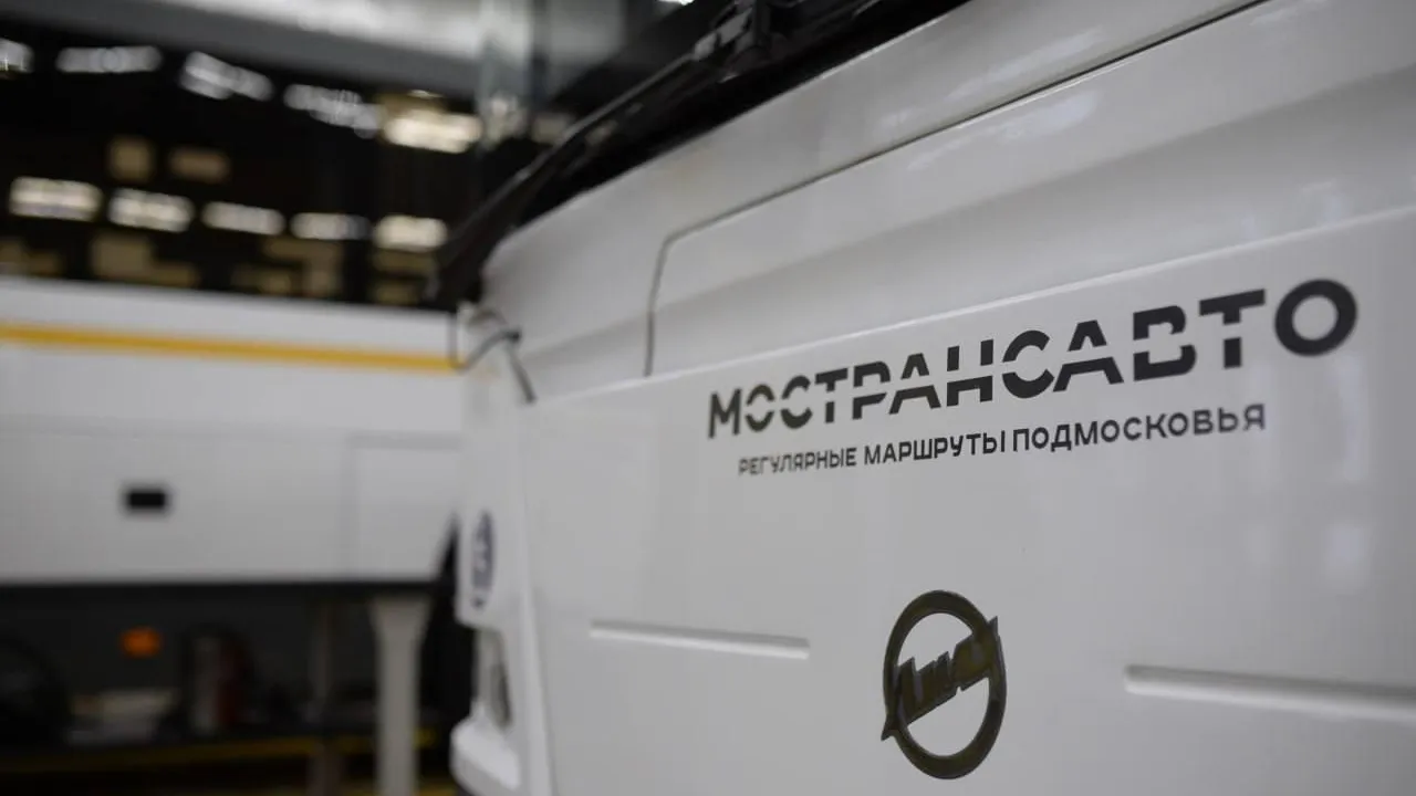 В Подмосковье доехать до кладбищ можно на более 440 маршрутах