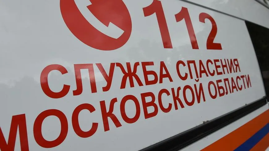 Человека насмерть сбили на пешеходном переходе в Дмитровском округе