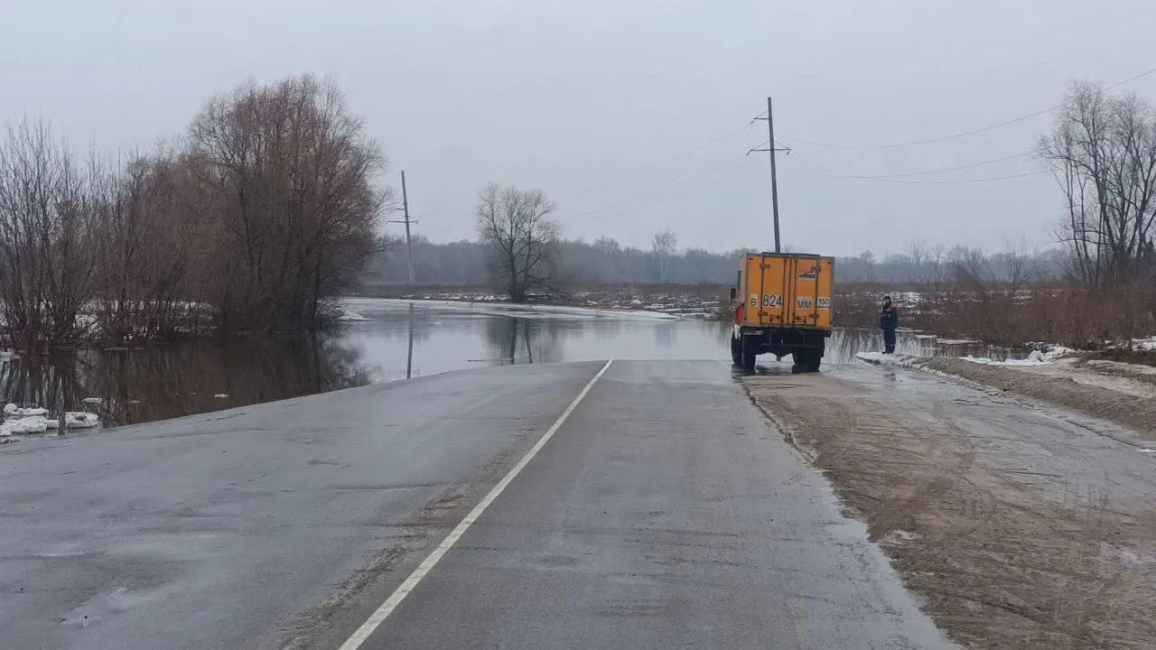 Весеннее половодье в Подмосковье ожидается выше нормы