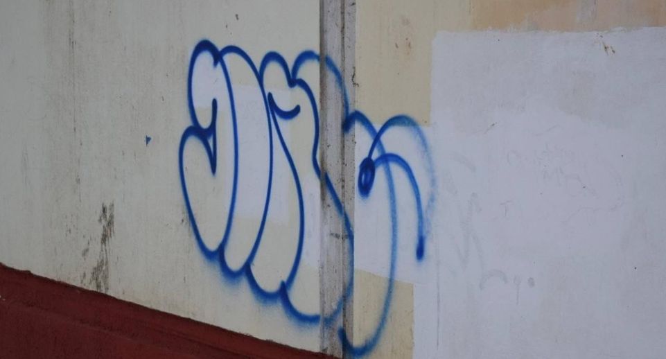Подмосковные коммунальщики удалили более 760 граффити с начала весны
