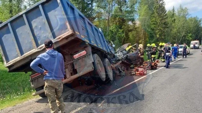 Водитель умер в Новой Москве после столкновения с «КамАЗом»