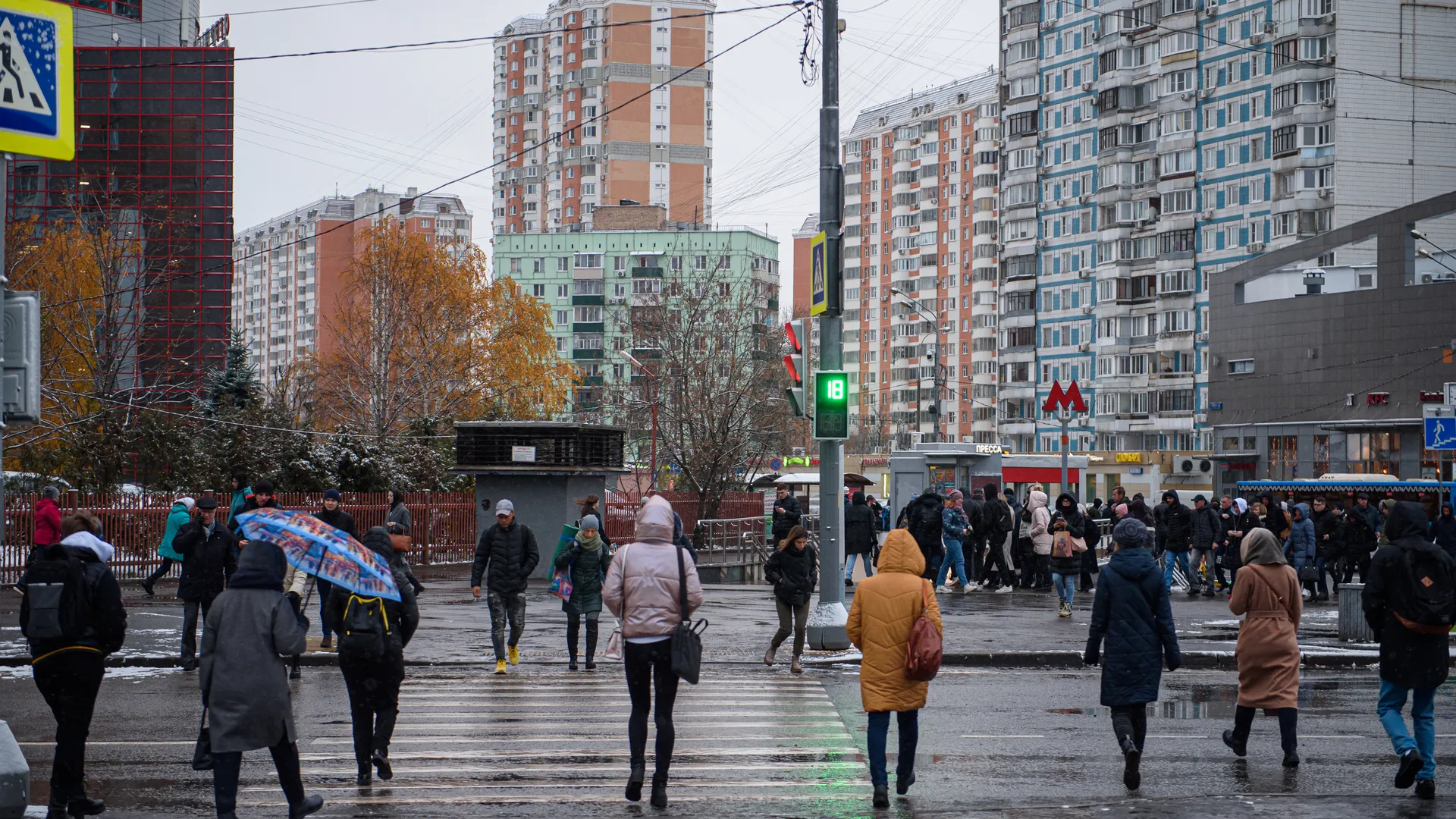 МЧС: сильный дождь, мокрый снег и порывистый ветер обрушатся на Москву 21 ноября