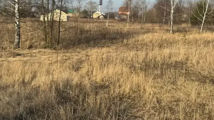 В трех округах Подмосковья выставили больше всего лотов на земельные торги