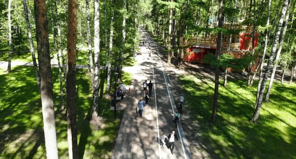Парк «Пехорка» в Балашихе вновь стал первым по посещаемости в Подмосковье