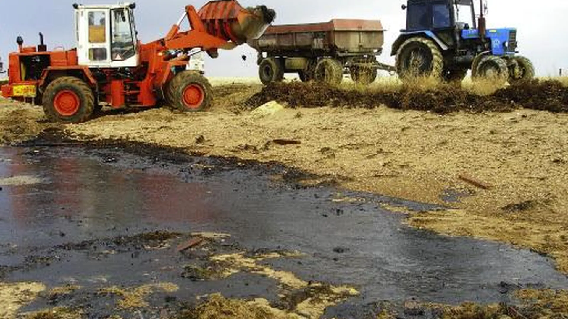 Более 25 т мазута собрано с поверхности ручья в Электростали — ГУМЧС