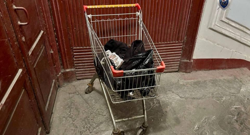 В Петербурге пенсионер в продуктовой тележке вывозил из дома расчлененное тело