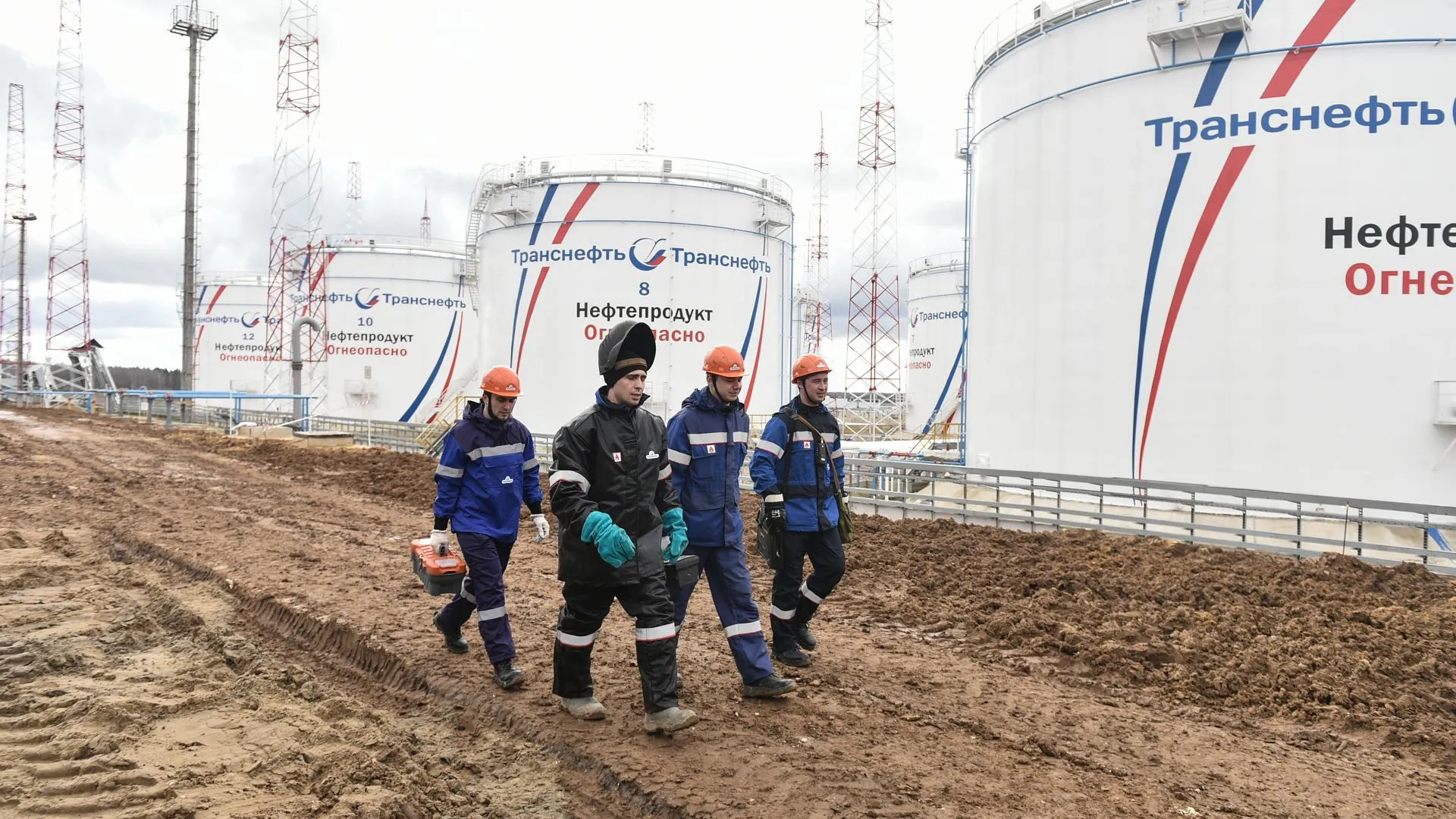 Транснефть начальник управления