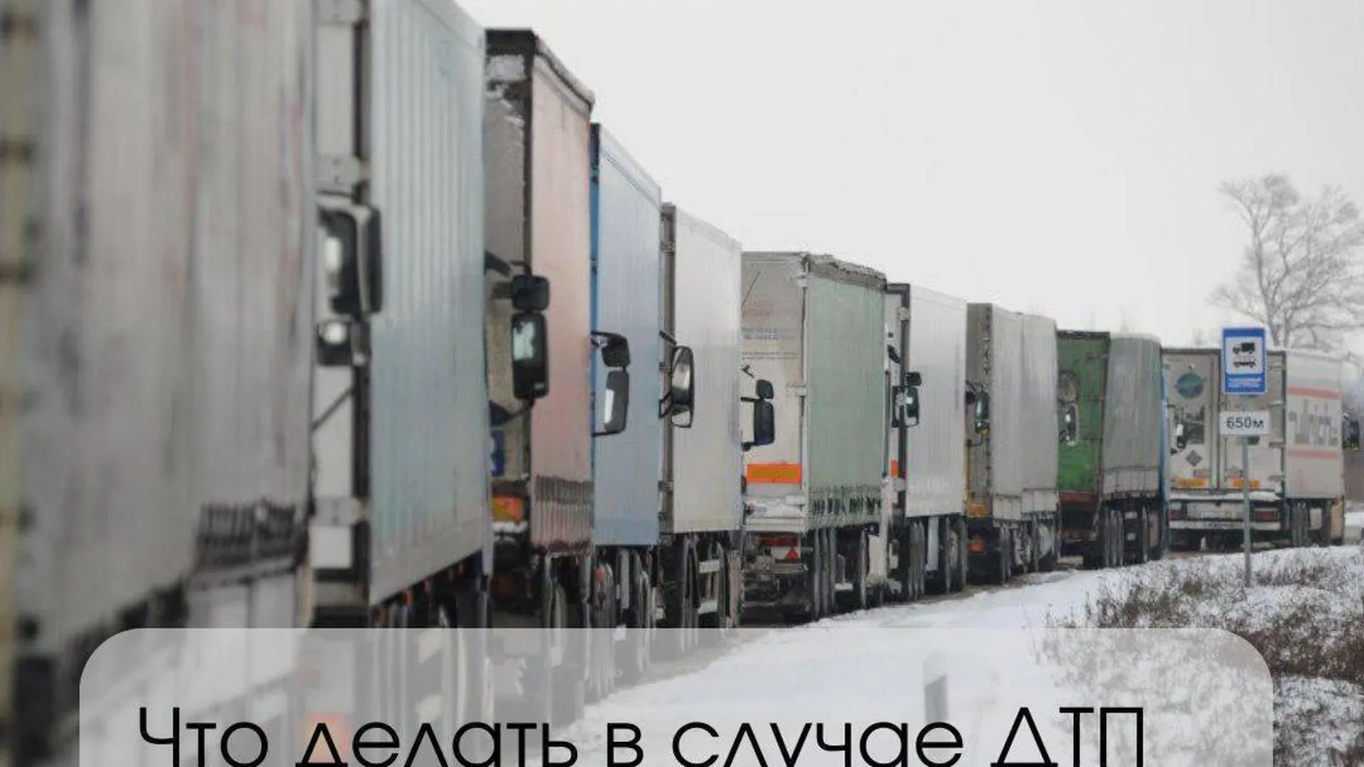 Водителям грузовиков в Подмосковье напомнили порядок действий в случае ДТП или поломки