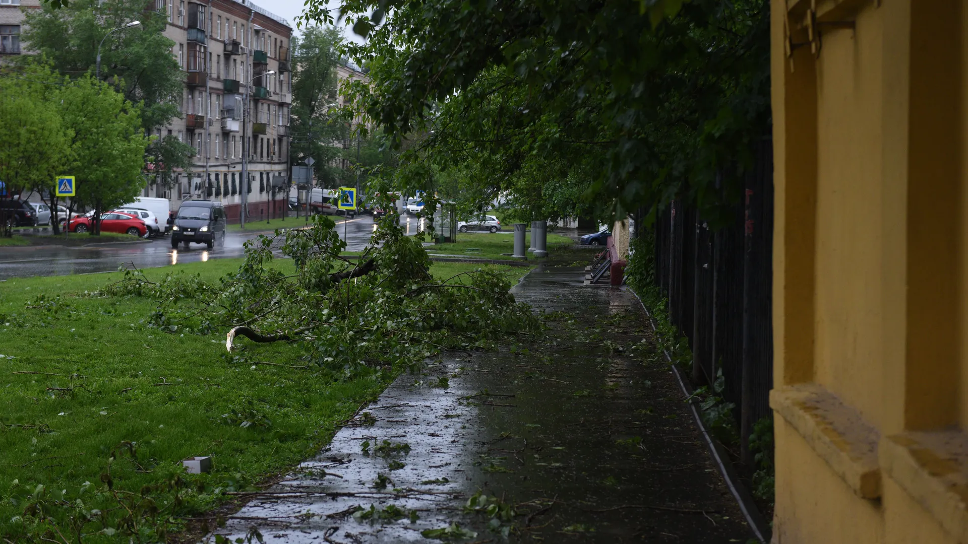 «Желтый» уровень погодной опасности объявили в Московском регионе из-за ветра
