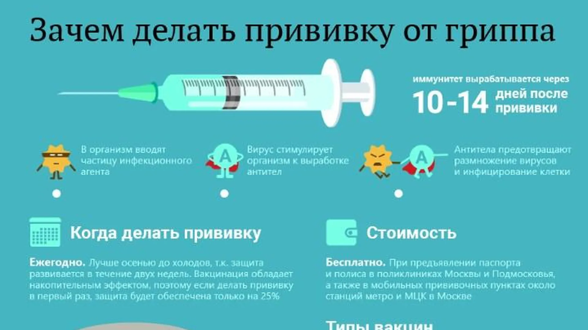 Вакцинация от гриппа. Прививки от гриппа. Инфографика про прививки. Вакцинация от гриппа инфографика.