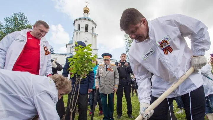 Более 17 тыс человек приняли участие в акции «Лес Победы» в Солнечногорске