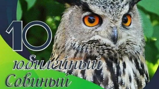 В Подмосковье 25 мая пройдет юбилейный фестиваль, посвященный совам