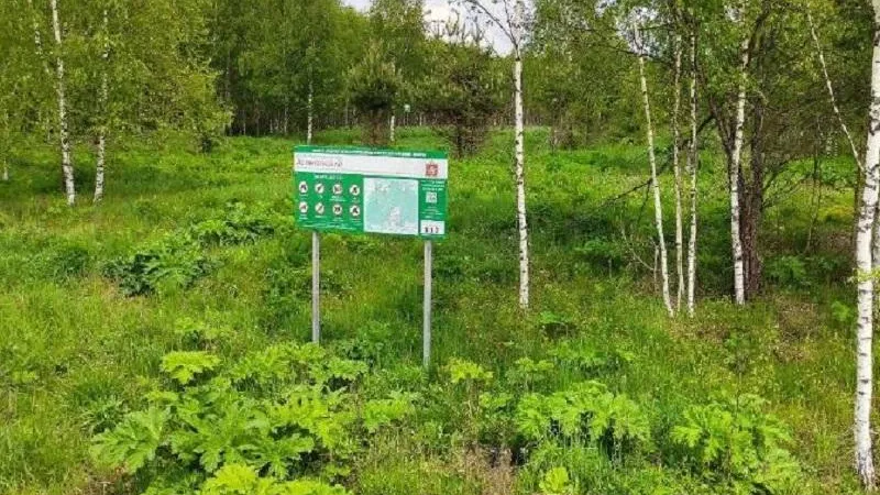 В Подмосковье за три года создали 7 особо охраняемых природных территорий