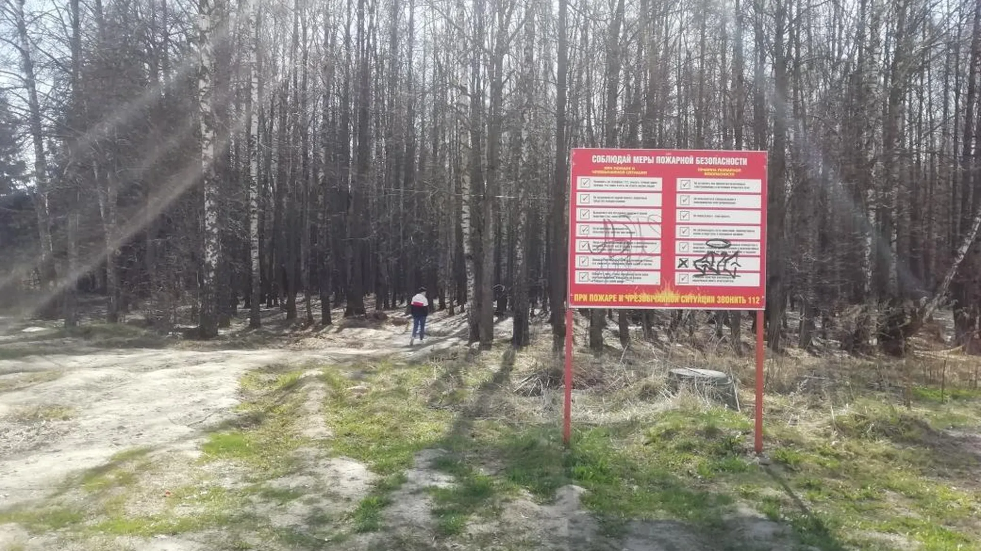 В Звенигороде появится парк с велодорожками и скейт‑площадкой