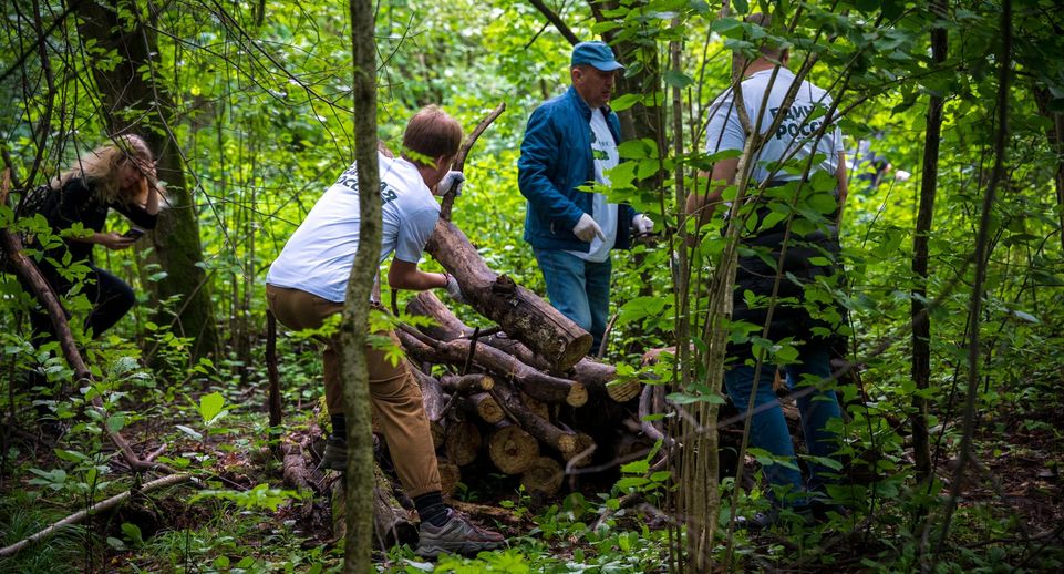 Луховицы и Домодедово присоединились к экологической акции «Чистый Лес»