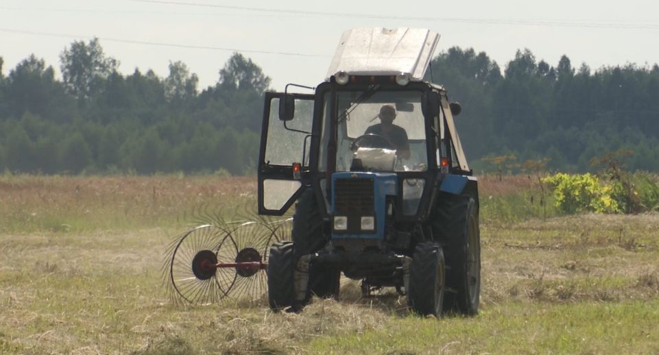 Фермер в Клину планирует приобрести 800 буренок на средства областного гранта