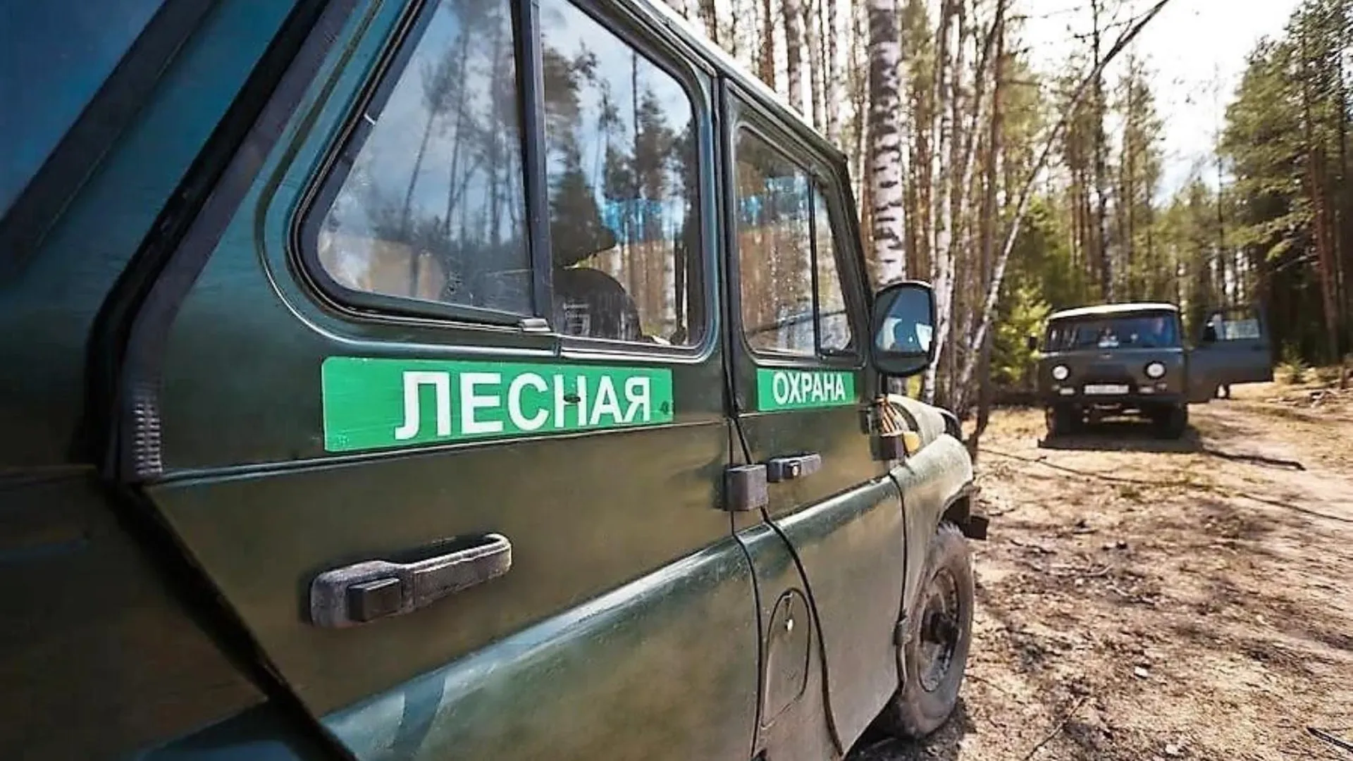 Фото Лесной Охраны