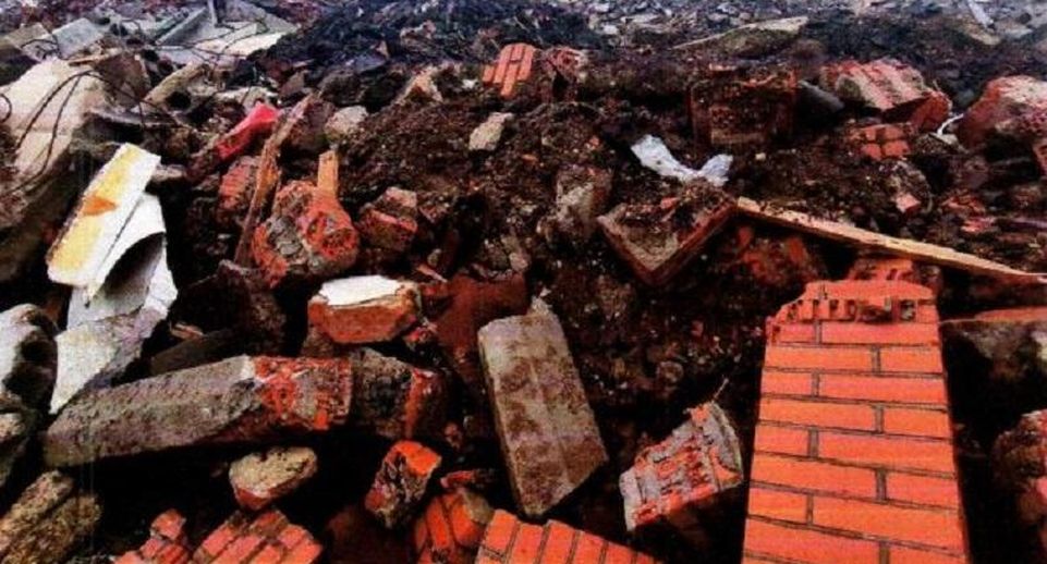Надзорные и правоохранительные органы дадут оценку свалке стройотходов в Химках
