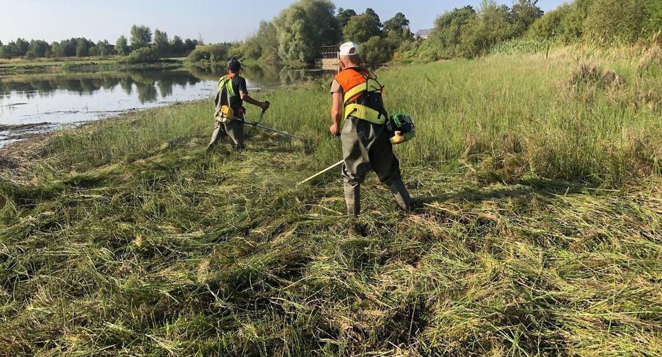 В Ступине продолжается очистка акватории водоемов