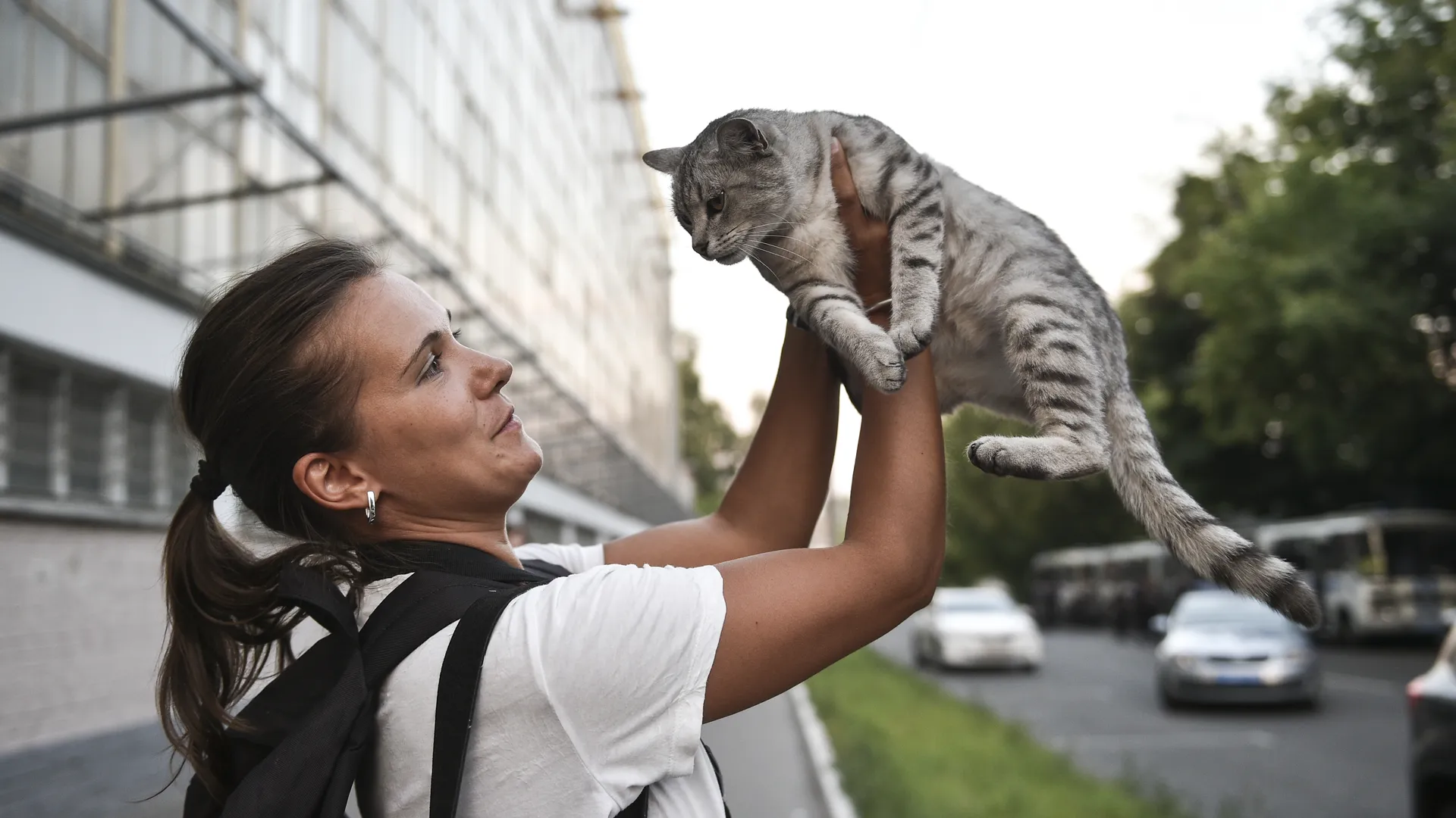 Раскрыты самые популярные имена кошек у жителей Москвы