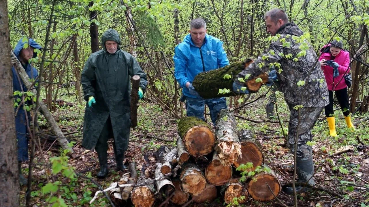 «Субботник в лесу» прошел во всех лесничествах Подмосковья — Мурашов