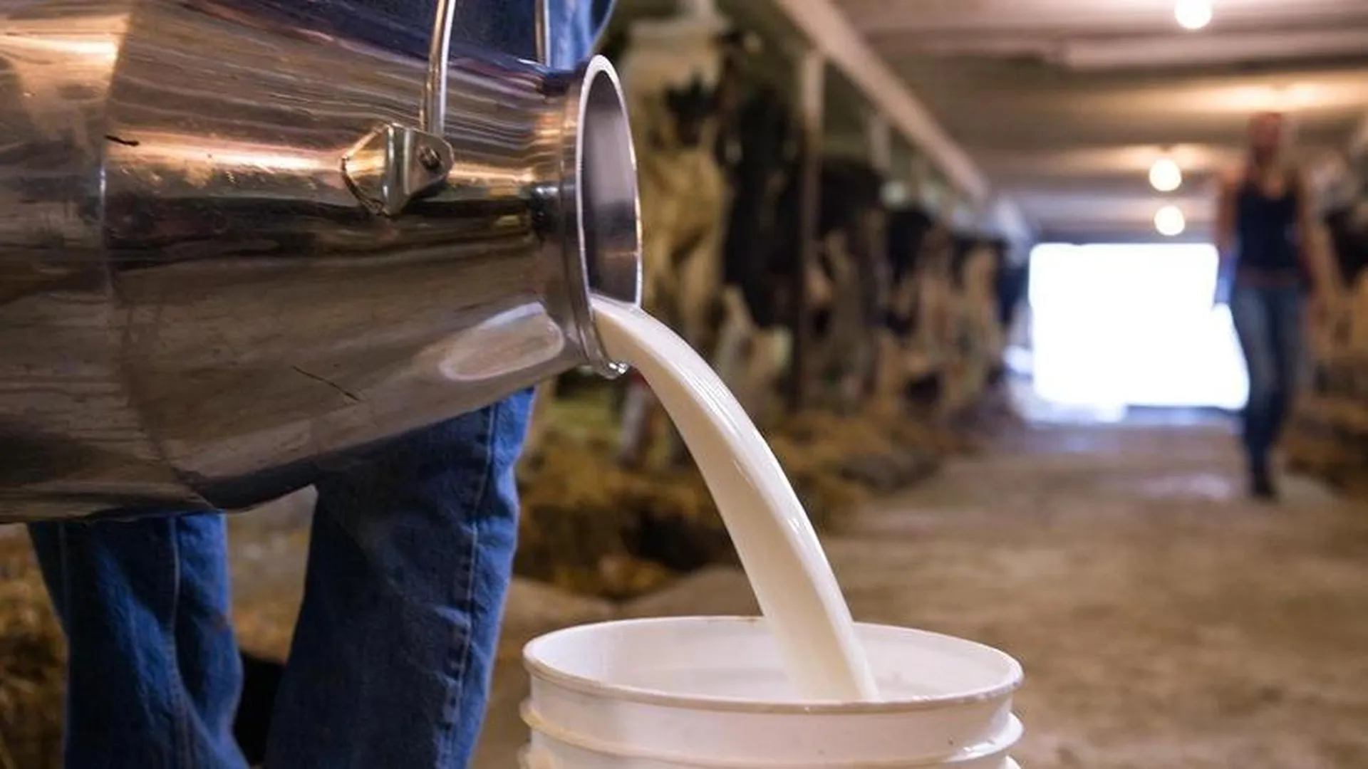 Животноводческий молочный комплекс на 2,4 тыс голов скота построят в Подмосковье к 2028 г