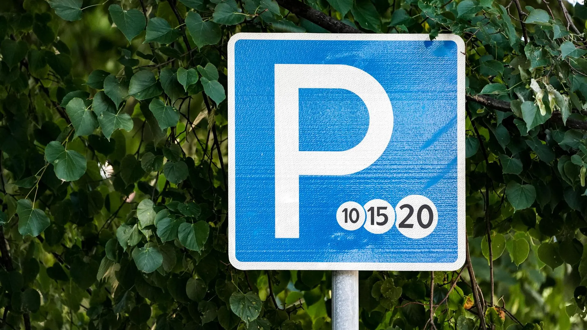 Многодетным семьям Подмосковья могут предоставить бесплатную парковку на платных стоянках
