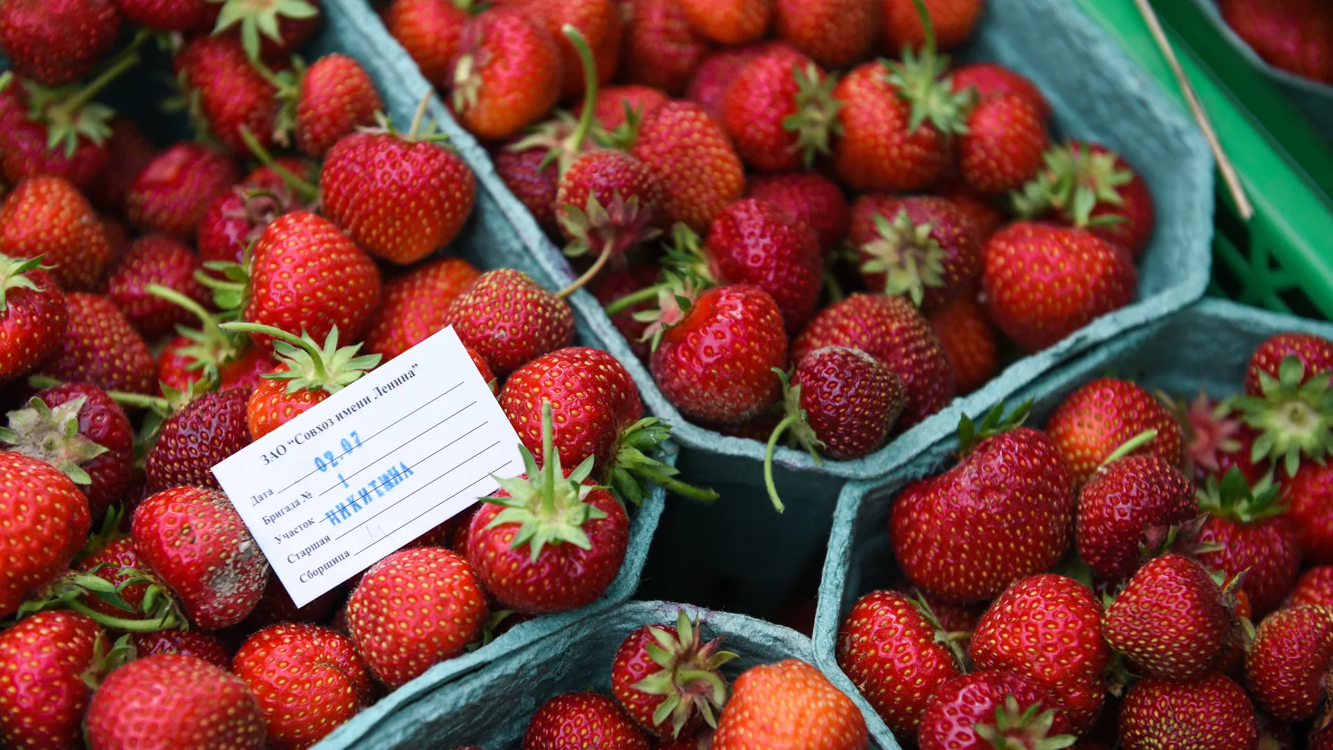Восемь ягод клубники в день ослабят депрессию и улучшат память — университет Цинциннати
